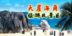 男女操逼视频免费网海南三亚-天崖海角旅游风景区